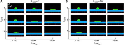 Modelling the Collective Mechanical Regulation of the Structure and Morphology of Epithelial Cell Layers